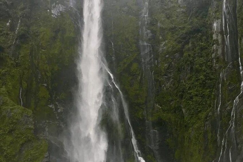 Queenstown to Milford Sound (Including Cruise ) 2