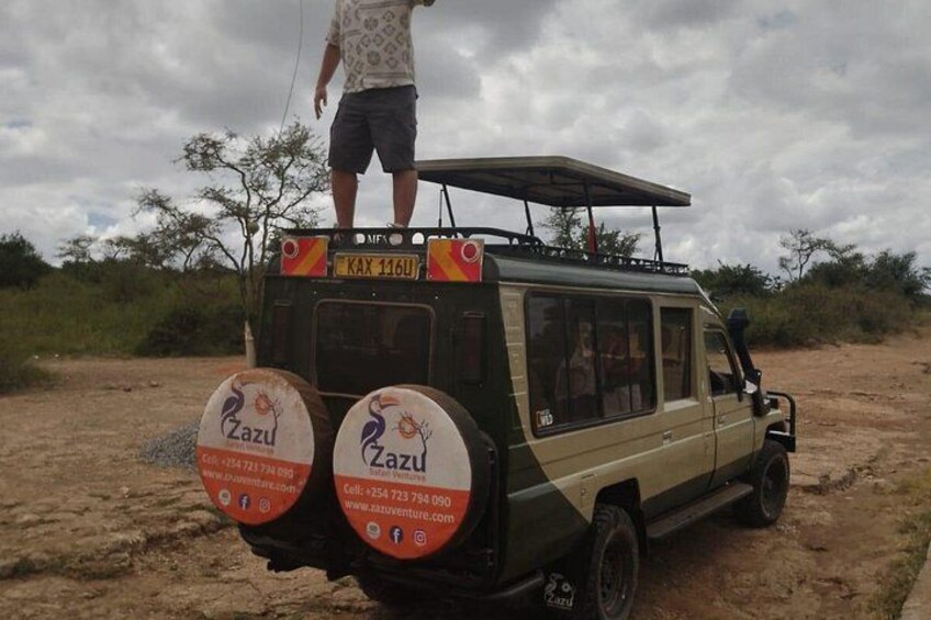 Ein Safarifahrzeug mit einem Mann, der auf dem Dach steht, einem Nummernschild mit der Aufschrift 'KAX 1160' und zwei runden Schildern mit 'Zazu'-Branding. 3