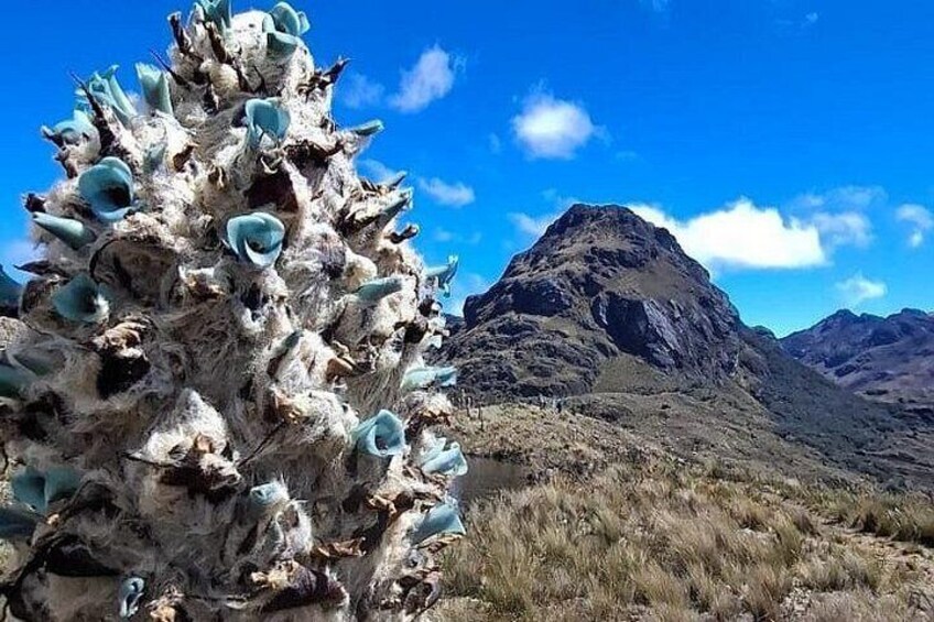 Paisaje montañoso con un pico destacado y una formación rocosa peculiar al frente. 2