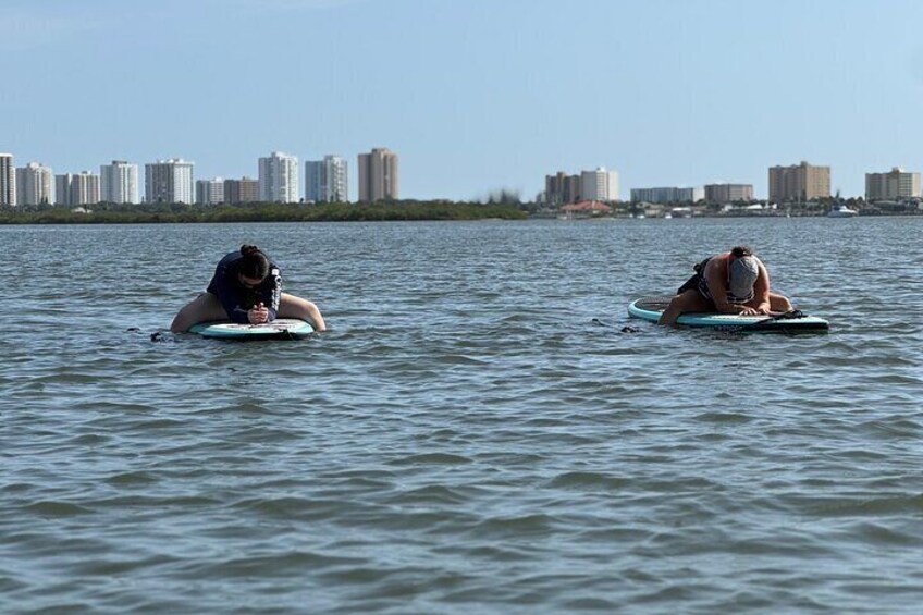Two people on surfboards in calm water with a city skyline in the background. 5