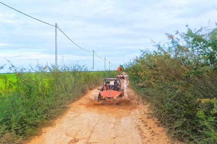 A vehicle on a muddy path surrounded by greenery. 4