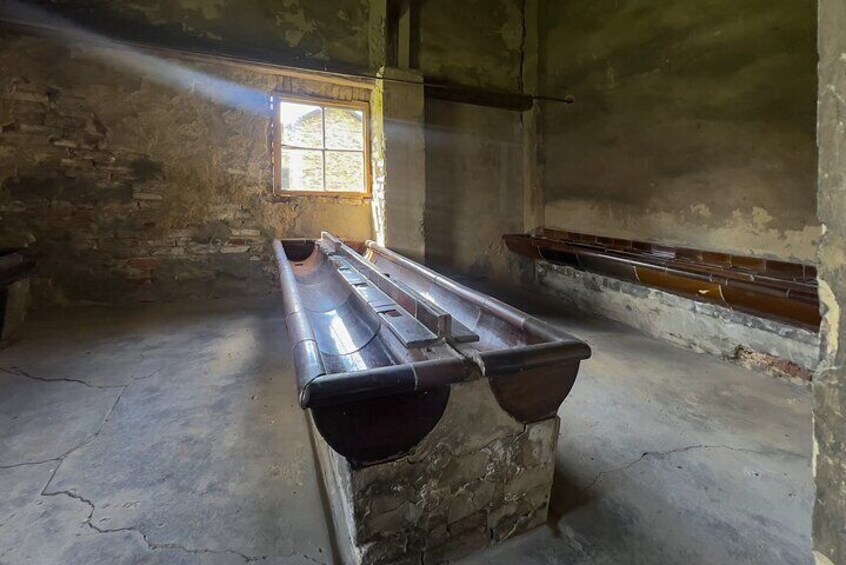 Auschwitz Tour from Krakow via Private Van with Tickets 5