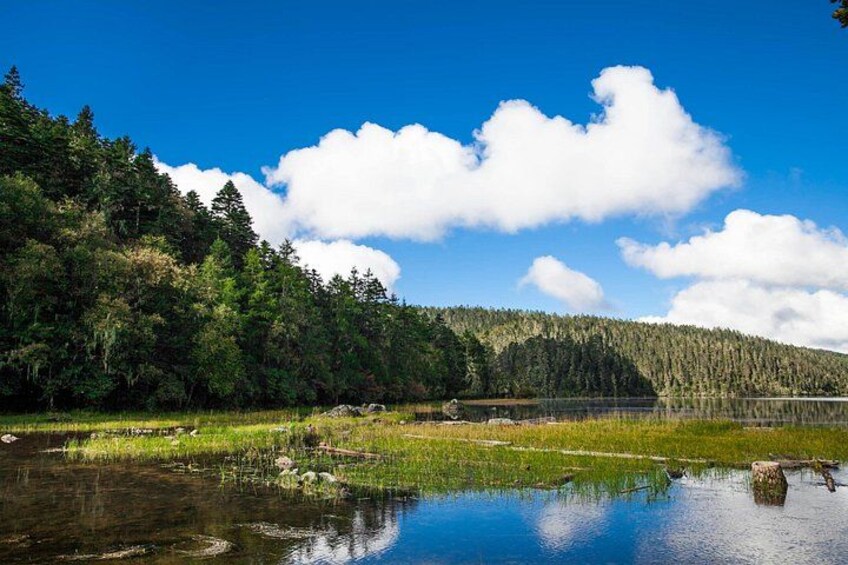 A calm lake surrounded by dense forest and a clear blue sky. 2