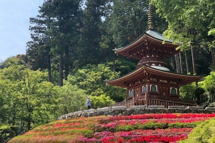 Minoo Falls & Nara Deer Park from Kyoto/Osaka 2