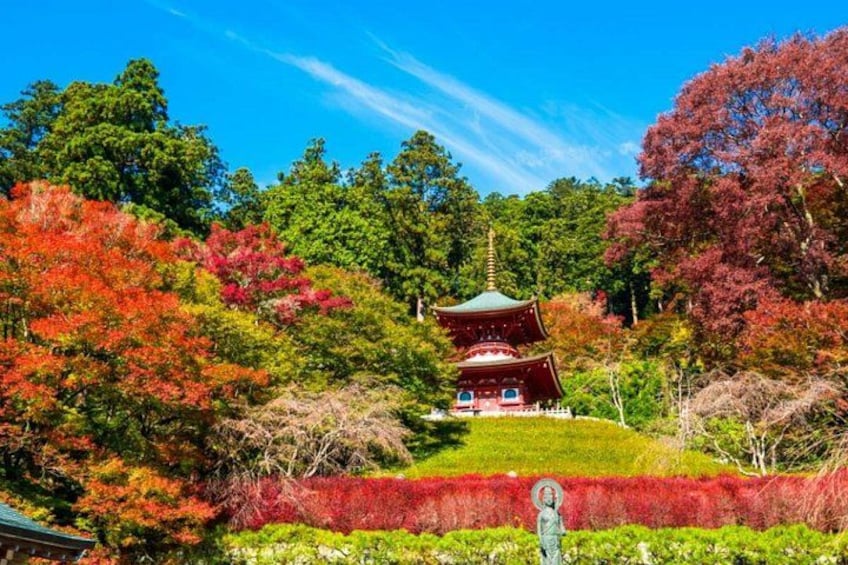 Minoo Falls & Nara Deer Park from Kyoto/Osaka 3