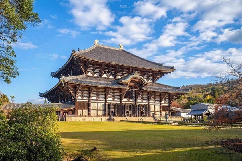 Minoo Falls & Nara Deer Park from Kyoto/Osaka 4