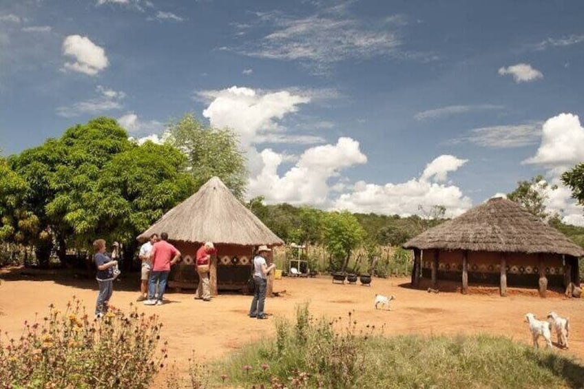 Guided Tour of Mukuni Village Immerse in Zambian Culture 5