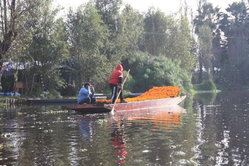 A person paddling a boat with orange flowers, another person sitting, and a forested riverbank. 4