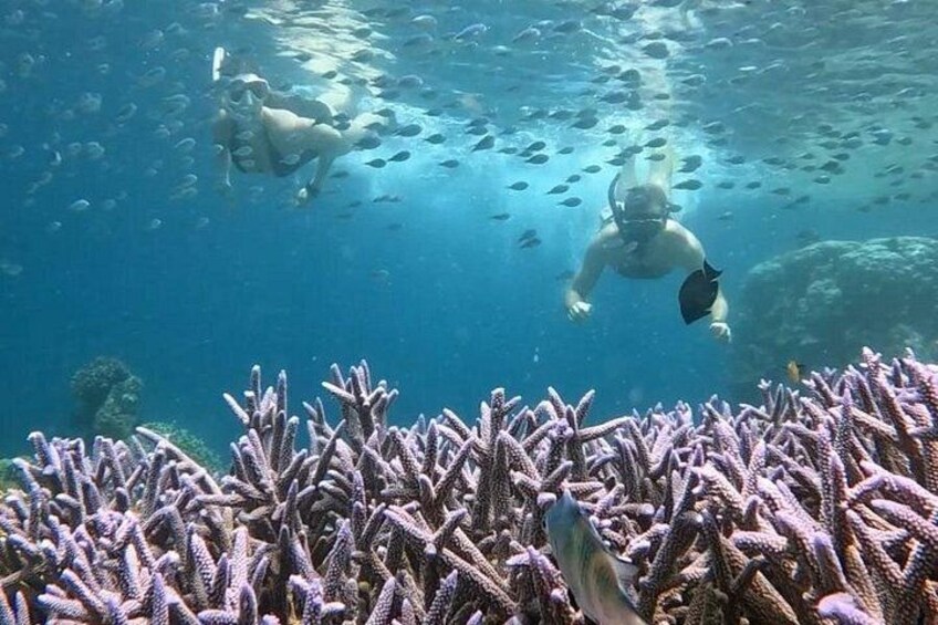 Private Snorkeling Tour of Gili Islands in Air Meno and Trawangan 5