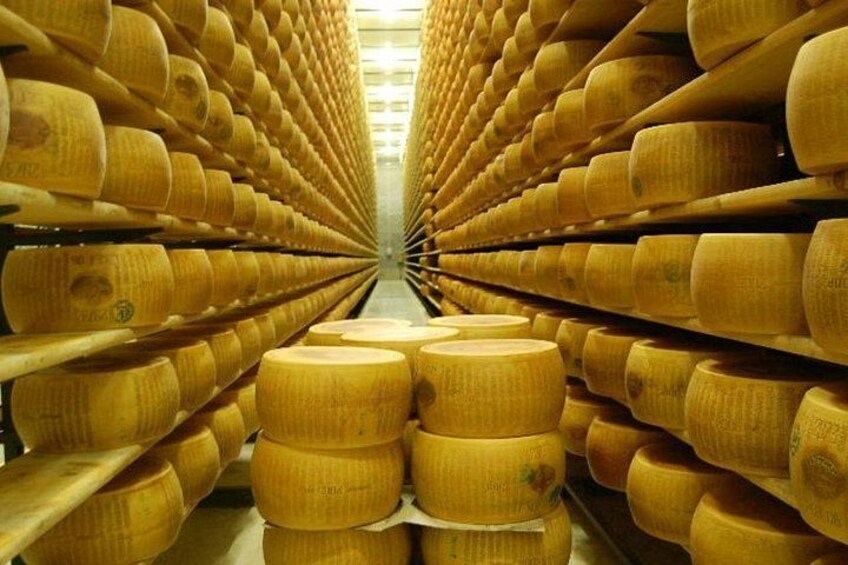 A storage facility with rows of large cylindrical objects, likely cheese wheels, arranged in a warehouse setting. 1