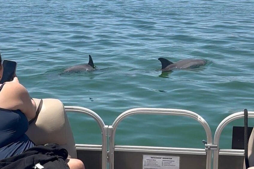 Destin Dolphin Boat Tour 2