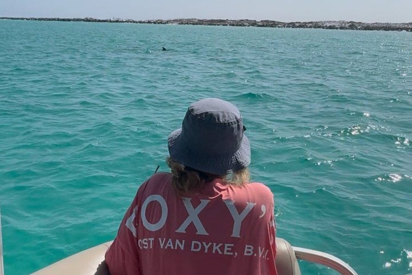 Een persoon in een boot, gekleed in een roze shirt met 'KOXY' en 'CST VAN DYKE, B.V.' op de rug, met turquoise water en een rotsachtige kustlijn op de achtergrond. 4