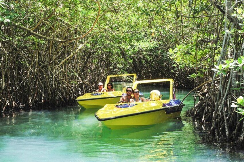 Two yellow boats with passengers, surrounded by mangrove trees and water. 5