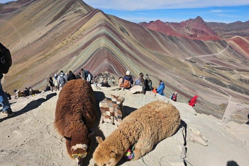 Rainbow Mountain & Red Valley ATV Tour from Cusco 5