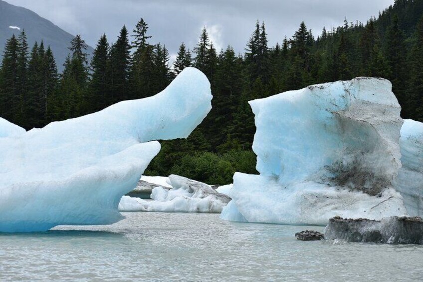 Stikine River Wilderness Tour 5