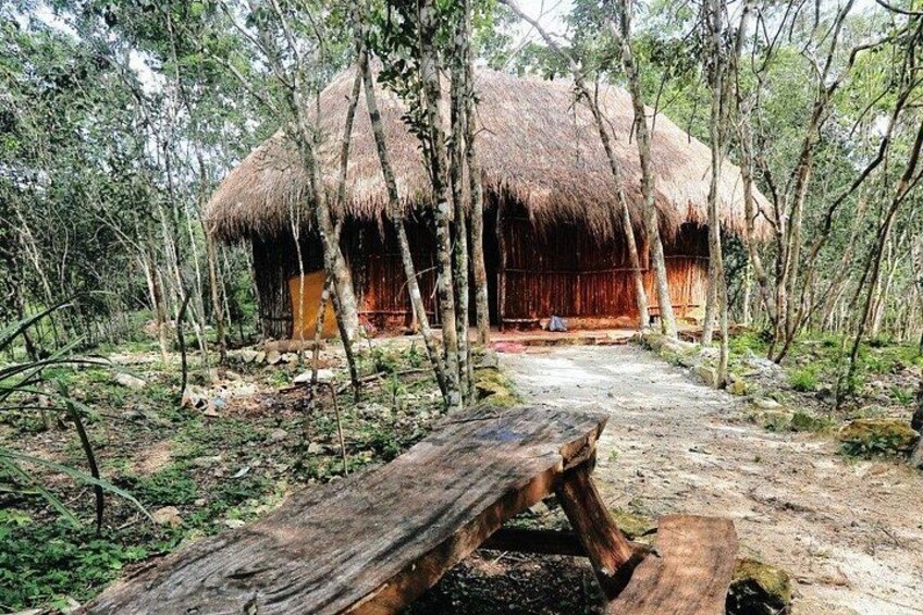 Een rieten hut, omringd door bomen in een bos. 4