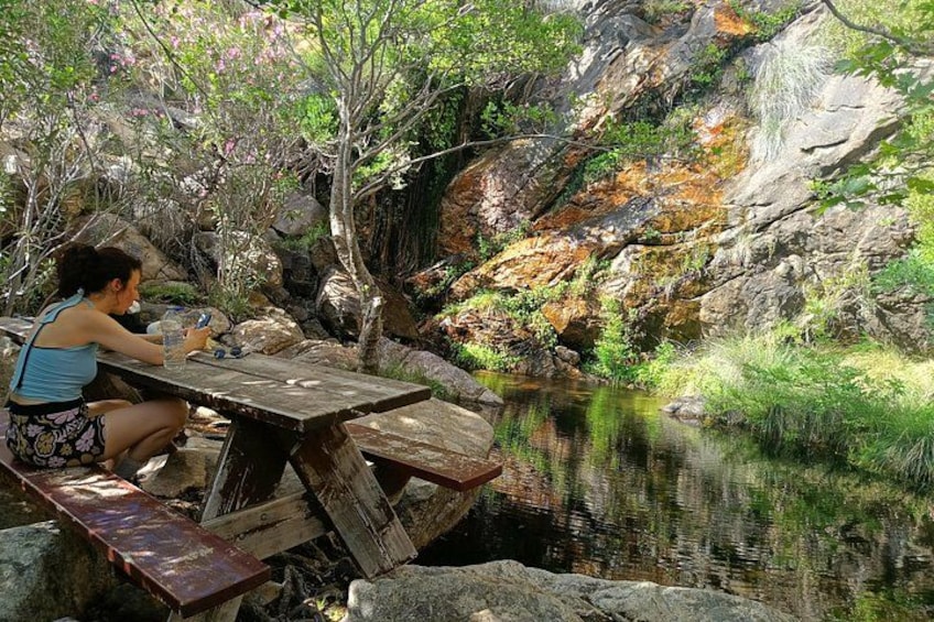 A person sitting at a wooden picnic table by a calm pond surrounded by rocks and greenery. 1