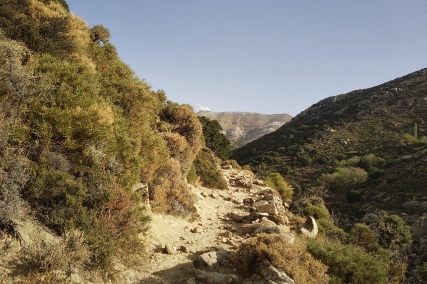 Explore Naxos Waterfall and Enjoy a Traditional Full Meal,Private 2