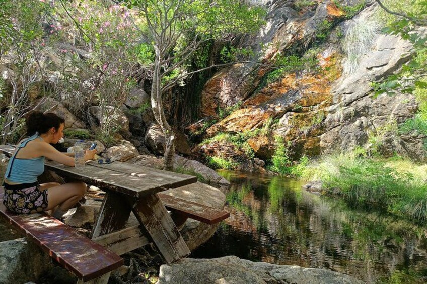 Explore Naxos Waterfall and Enjoy a Traditional Full Meal,Private 1