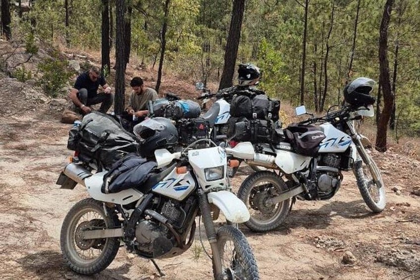 Zwei Motorräder stehen auf einem Feldweg in einem bewaldeten Gebiet. 5