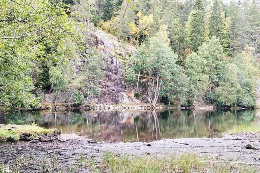 Oslo's Scenic Fjord Hike & Chef's Norwegian Forest Waffle 2
