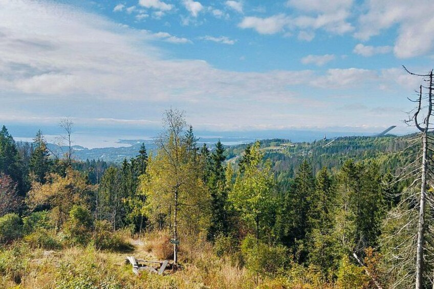 Oslo's Scenic Fjord Hike & Chef's Norwegian Forest Waffle 3