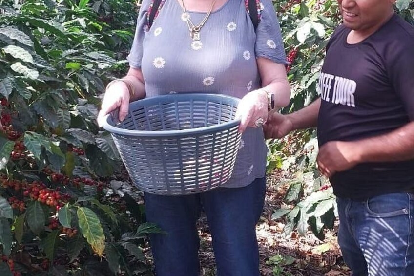 Coffee in the first capital of Guatemala 4