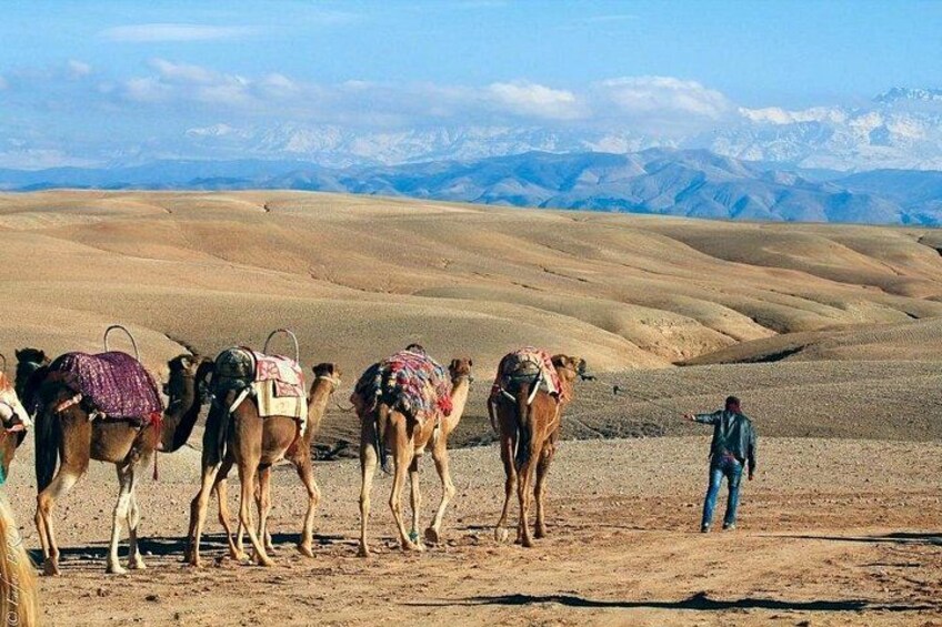 Agafay Desert 2