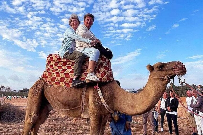 A camel with a saddle and two people riding it. 1