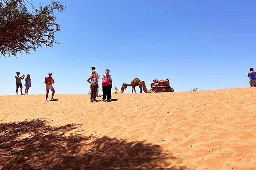 A group of people on a sandy dune with a camel and a red tent. 4