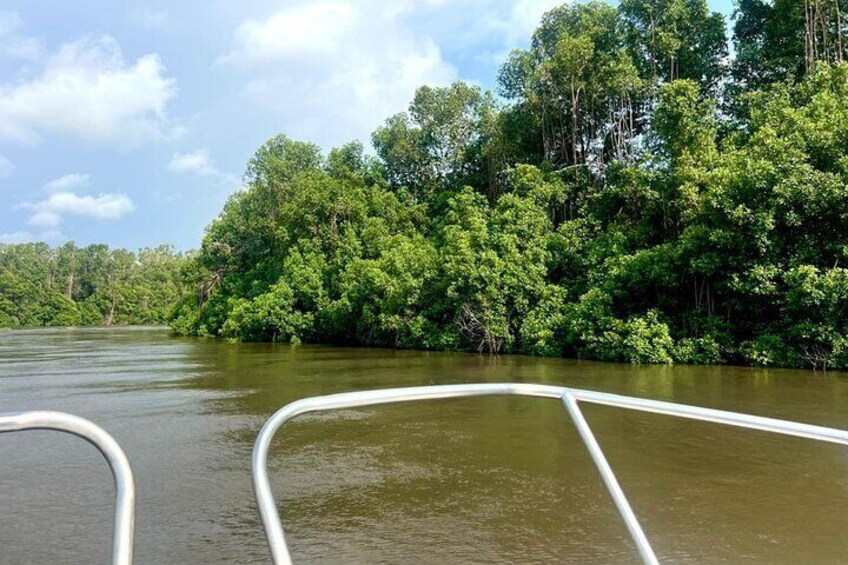 A river with a boat in the foreground and dense forest on the opposite bank. 4
