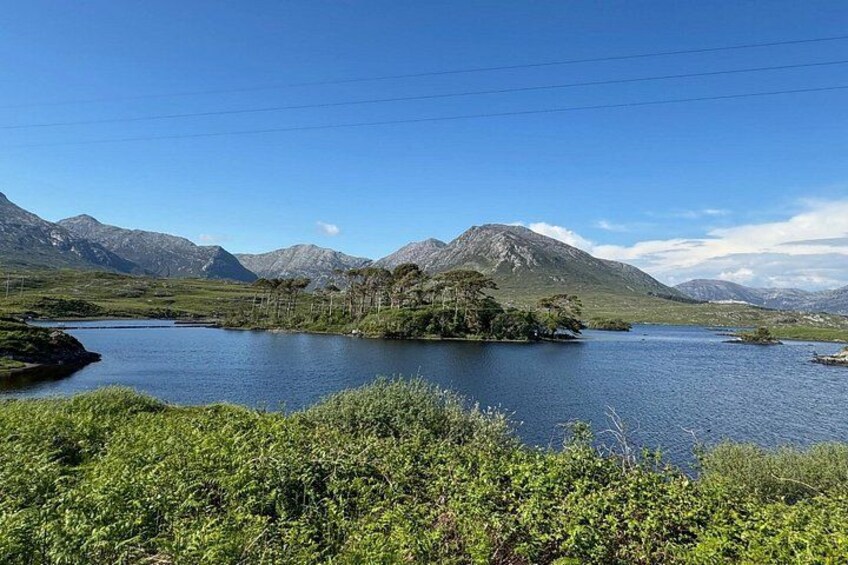 Un lac entouré de montagnes et de verdure. 2