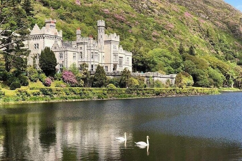 Un château au bord d’un lac, avec un cygne. 1