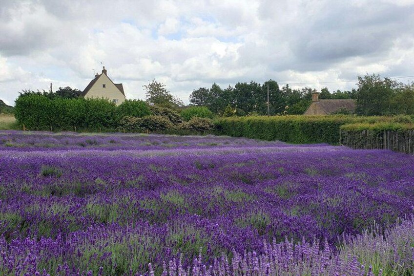 Private Full Day Cotswolds Tour from London Historic Towns 4