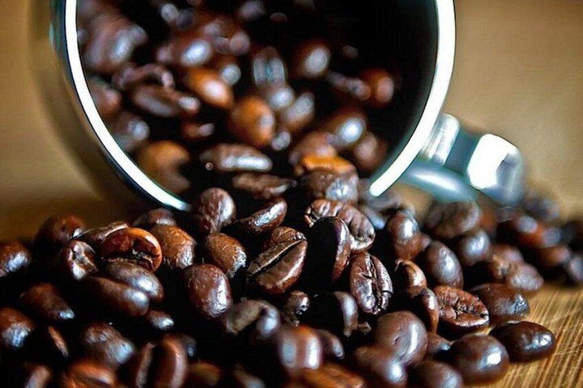 Coffee Trek Day Trip, Bean to Cup Experience 3