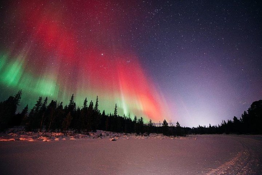 A snowy landscape with a forest and the Northern Lights. 3