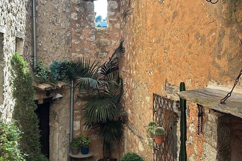 Private country side tour of the French Riviera and wine tasting 2
