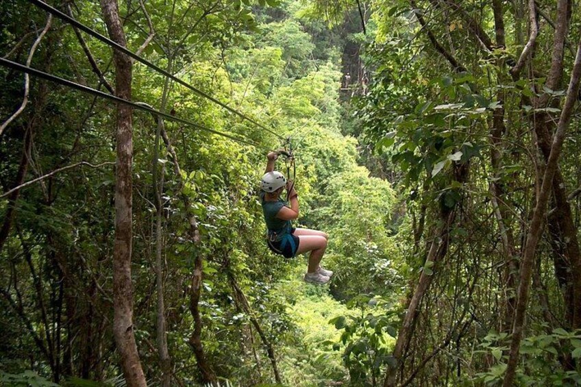 Eine Person zipline durch einen dichten Wald. 5