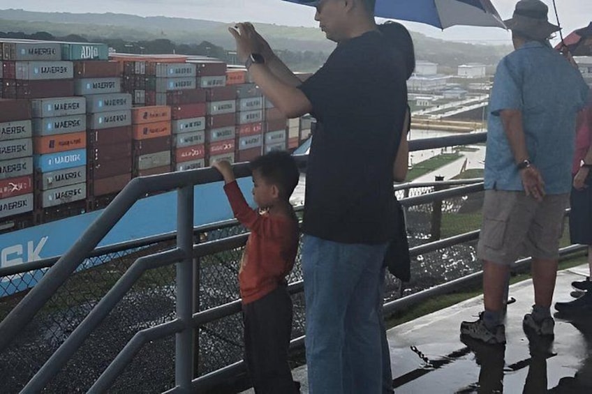 A man and a child observing shipping containers, with a railing and a grassy area in the background. 4