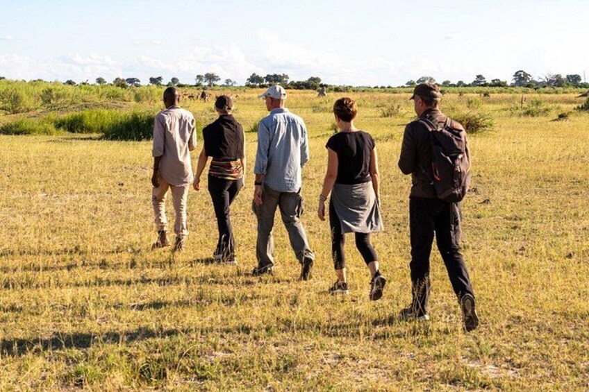 Okavango Delta Nature walk 3