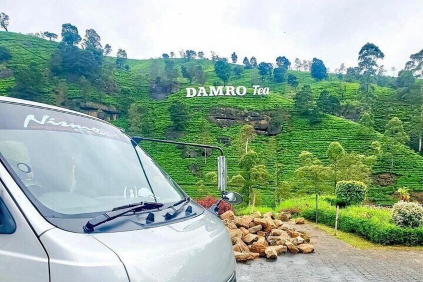 Un coche aparcado en una carretera con una exuberante plantación de té verde al fondo. 5