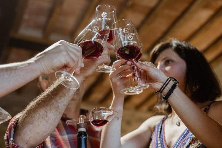 Personas brindando con copas de vino en un ambiente rústico. 2