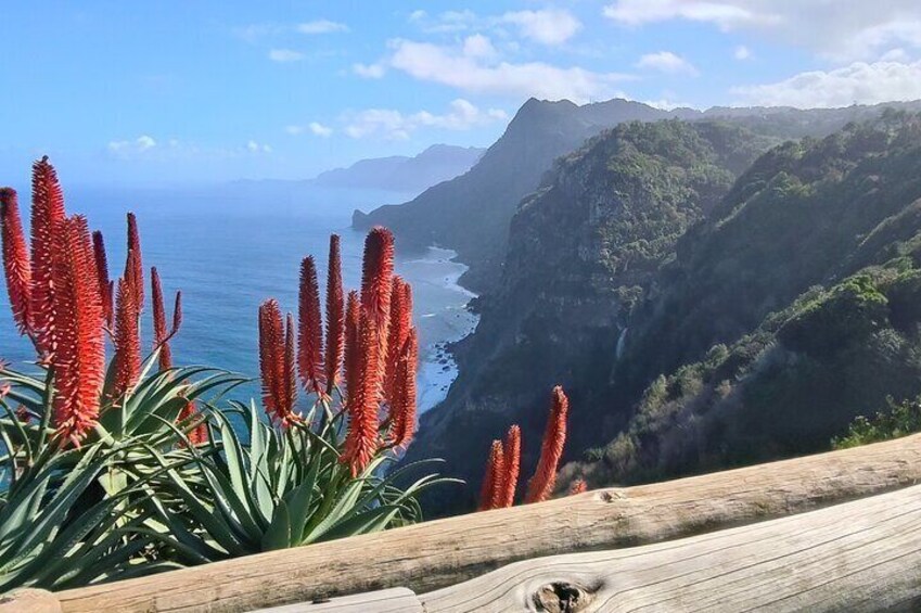 Private West Madeira Tour Skywalk Natural Pools and Magic Florest 3