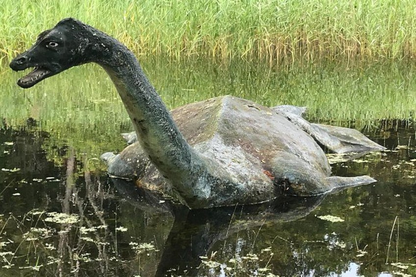 The world famous and very elusive and shy "Nessie" 5
