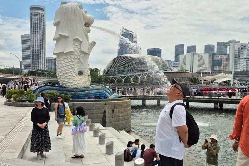 Airport to City and Food Private Tour for Layover and Transit 4
