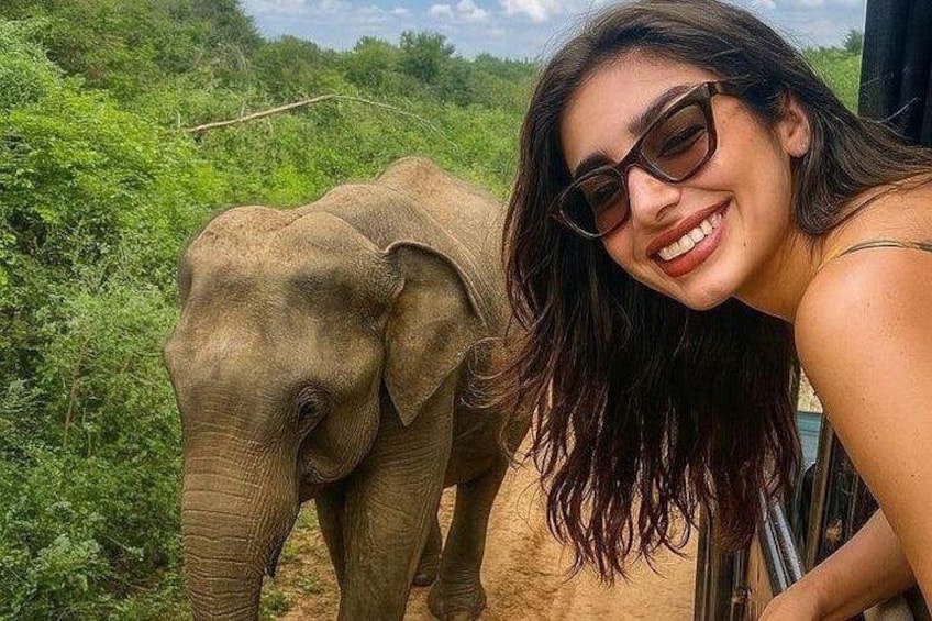 A person with an elephant in a natural setting. 1