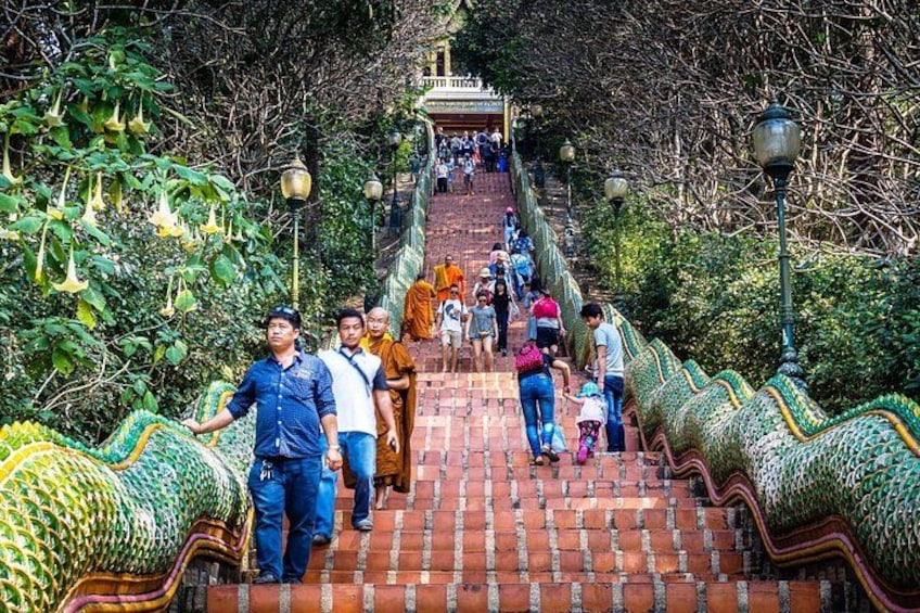 A staircase with ornate dragon decorations, surrounded by lush greenery. 2
