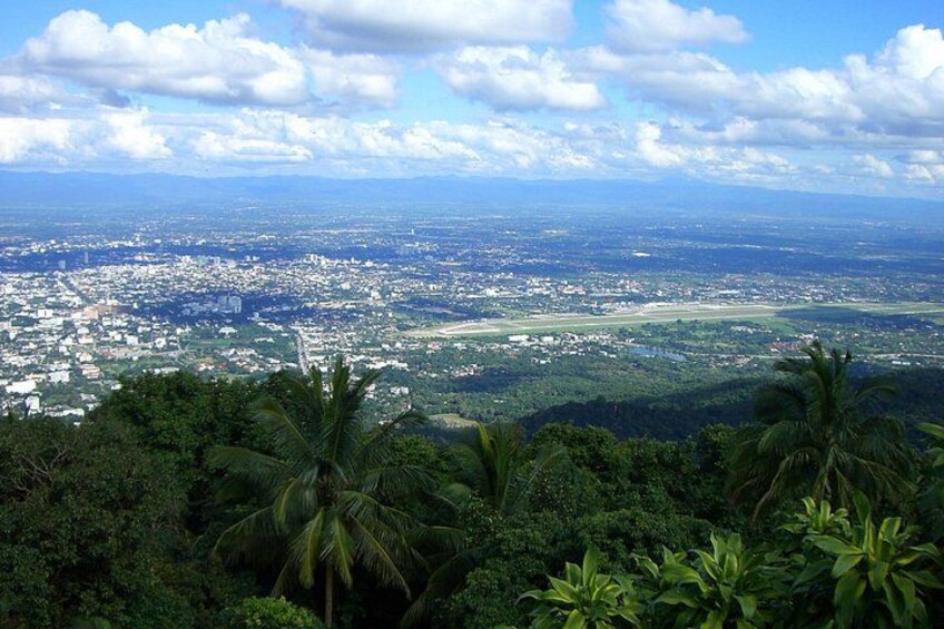 A cityscape with a dense urban area, a coastline, and a lush green landscape with palm trees. 5