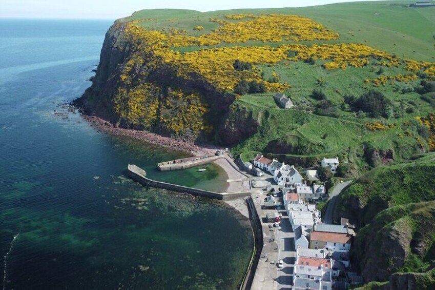 A coastal village with houses, a pier, and a cliff with yellow flowers. 1