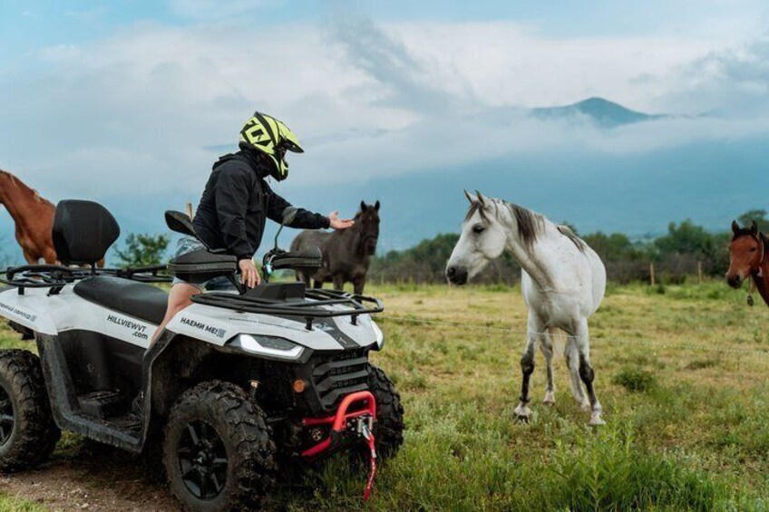 ATV or UTV Off-Road Tour near Plovdiv 1